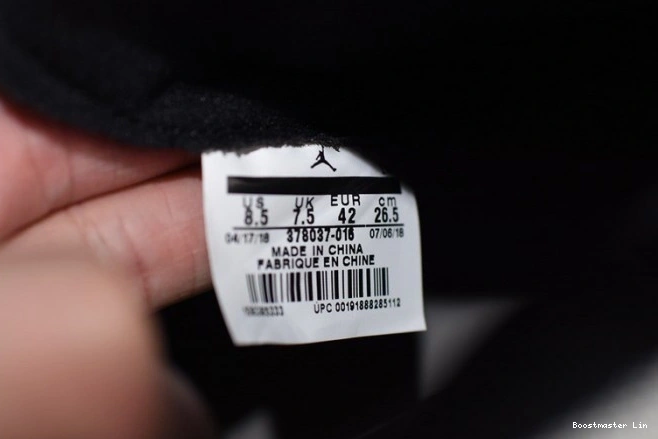 Bmlin shoes Tint Jordan Platinum Retro 378037-016 Air 11 0809